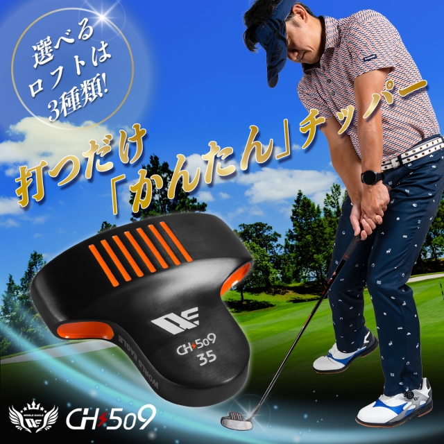 【初心者応援】ワールドイーグル メンズ ゴルフクラブセット　チッパー付　10本