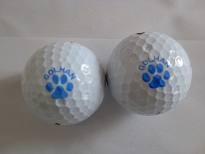 ボールスタンプ ゴルはん を使ってみた ゴルフ用品体験レポート ゴルフ特集記事 中古 ゴルフクラブ ゴルフ用品 激安中古クラブ市場